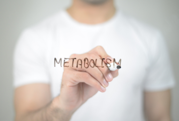 Jak funguje váš metabolismus? Co ho zrychluje a co zpomaluje?